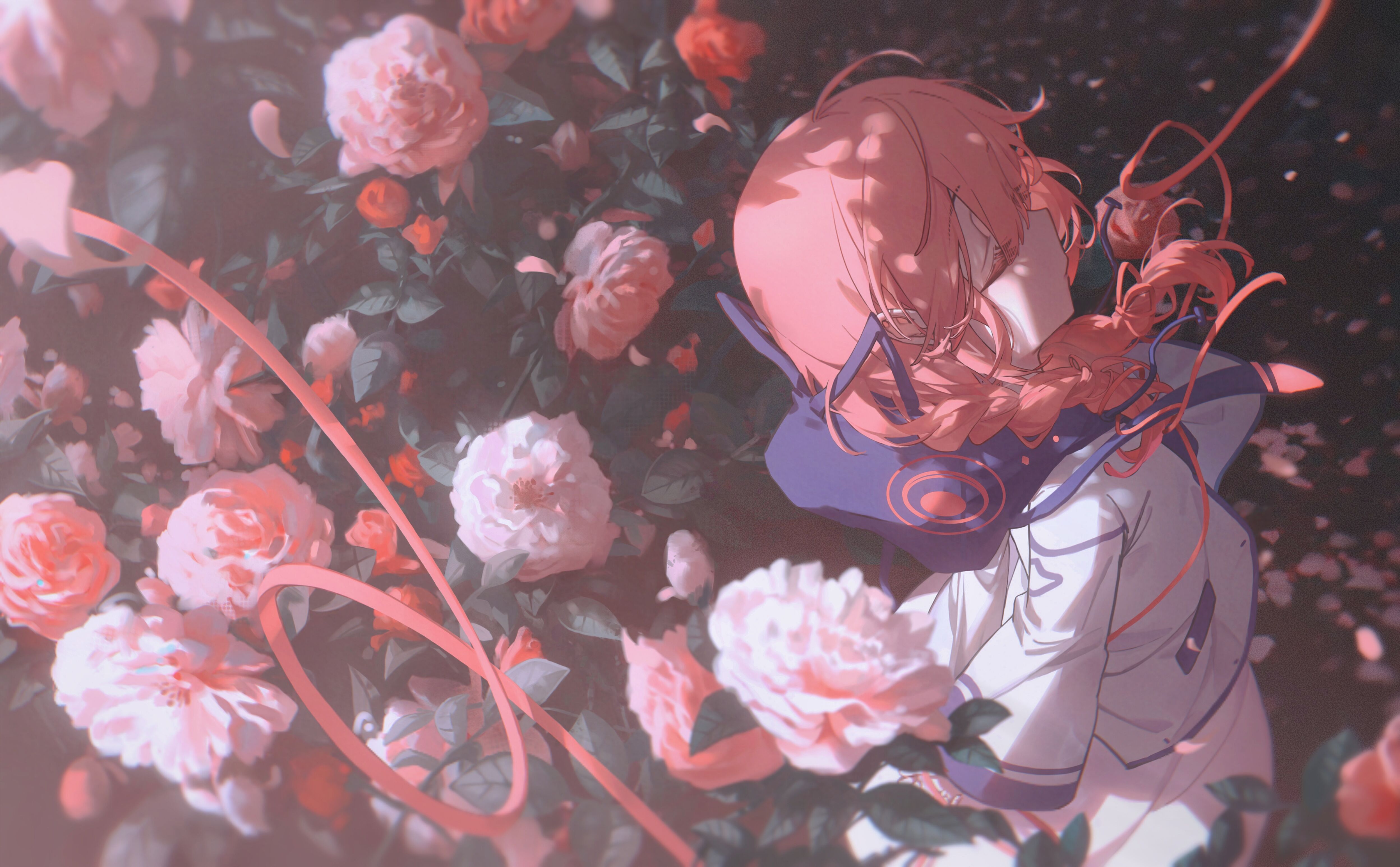 background picture of the home page